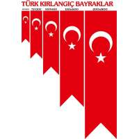 50x150 Kırlangıç Türk Bayrak